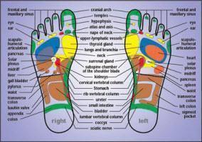 Lane Cove Therapeutic Massage